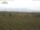 Webcam in Stellenbosch, 390.6 km