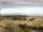 Webcam in Stellenbosch, 390.2 km entfernt