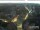Webcam in Memmingen, 12.6 km