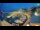 Webcam in Igrane, 3.8 mi away