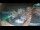 Webcam in Igrane, 7.9 km entfernt