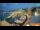 Webcam in Igrane, 26.1 km