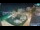 Webcam in Igrane, 1.6 km
