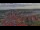 Webcam in Wolgast, 3.4 mi away