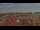 Webcam in Wolgast, 3.2 mi away