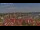 Webcam in Wolgast, 3.4 mi away
