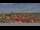 Webcam in Wolgast, 9.6 km
