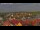 Webcam in Wolgast, 8 km entfernt
