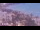 Webcam in Cala Millor (Majorca), 4.2 mi away