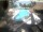 Webcam su Kuredu Island (Lhaviyani Atoll), 1503.3 km
