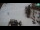 Webcam in Ravascletto, 0.7 km entfernt