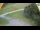 Webcam in Ravascletto, 0.4 km