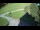 Webcam in Ravascletto, 0.7 km