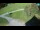 Webcam in Ravascletto, 27.9 km entfernt