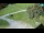 Webcam in Ravascletto, 13 mi away