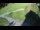 Webcam in Ravascletto, 21.7 km