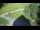 Webcam in Ravascletto, 19.6 km