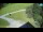 Webcam in Ravascletto, 19.6 km