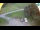 Webcam in Ravascletto, 19.6 km entfernt