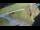 Webcam in Ravascletto, 10.8 mi away