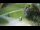 Webcam in Ravascletto, 15.8 mi away