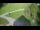 Webcam in Ravascletto, 29.5 km
