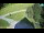 Webcam in Ravascletto, 14.2 km