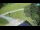 Webcam in Ravascletto, 0.4 km