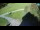 Webcam in Ravascletto, 22.7 km