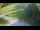 Webcam in Ravascletto, 8.8 mi away