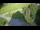 Webcam in Ravascletto, 17.2 km