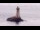 Webcam in Plogoff, 5.7 mi away