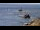 Webcam in Plogoff, 14 mi away