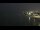 Webcam in Chicago, Illinois, 28.9 km