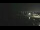 Webcam in Chicago, Illinois, 15.4 mi away