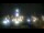 Webcam in Navasota, Texas, 302.3 km