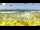Webcam in Olpenitz, 8.6 km