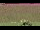 Webcam in Olpenitz, 24.4 mi away