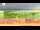 Webcam in Olpenitz, 50.9 km entfernt