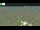 Webcam in Olpenitz, 1.1 km entfernt