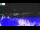 Webcam in Olpenitz, 1.1 mi away