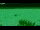 Webcam in Olpenitz, 22.1 mi away