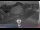 Webcam sur Langeoog, 0 km