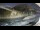 Webcam in Solkan, 0.8 mi away