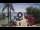 Webcam in West End (Roatán), 197.3 mi away