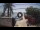 Webcam in West End (Roatán), 181.9 mi away