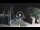 Webcam in West End (Roatán), 463.4 km
