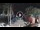 Webcam in West End (Roatán), 178.8 mi away