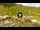 Webcam in Livigno, 1 km