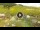 Webcam in Livigno, 1 km